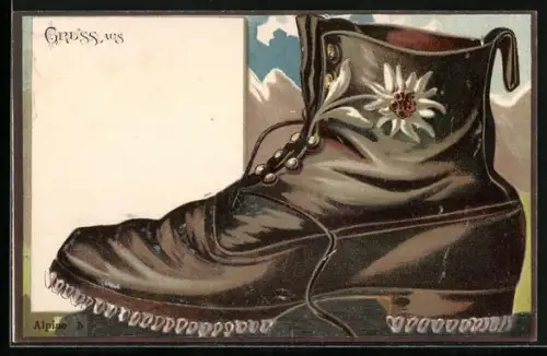 AK Brauner Schuh mit Alpenblume