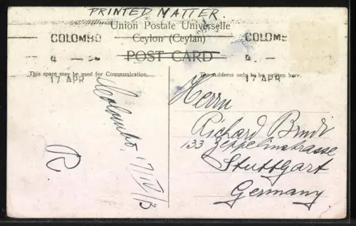 AK Ceylon, Elephant