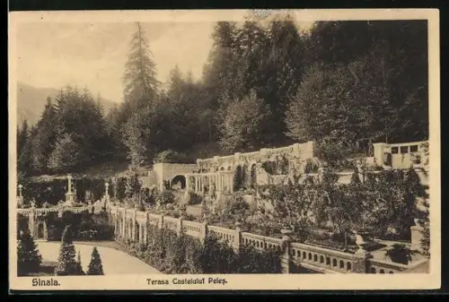 AK Sinaia, Terasa Castelului Peles