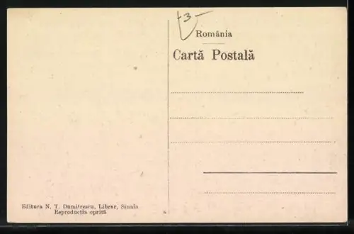 AK Sinaia, Vedere Generala