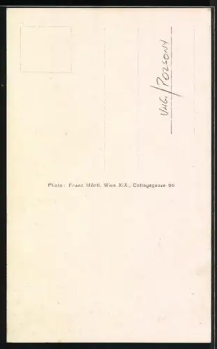 AK Theben an der Donau, Totalansicht über die Felder