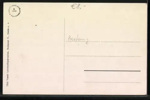 AK Pozsony, Panorama