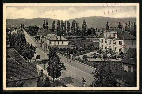 AK Prievidza, Panorama
