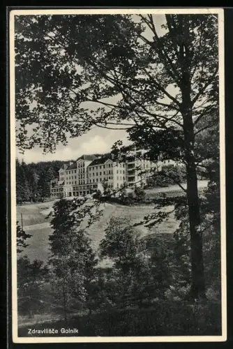 AK Zdravilisce Golnik, Ortsansicht mit Umgebung vom Waldrand aus
