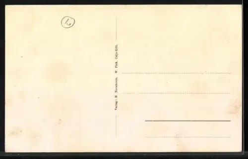 AK Steinbrück, Totalansicht mit Strassenbrücke, Bahnviadukt und Flusspartie aus der Vogelschau