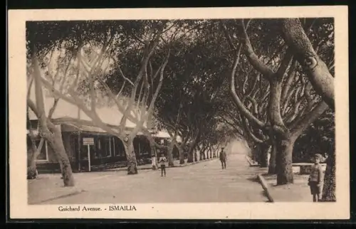 AK Ismailia, Guichard Avenue