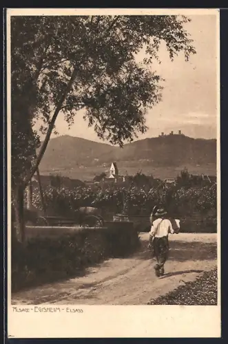 AK Egisheim, Paysage rural avec vue sur le village et les collines environnantes