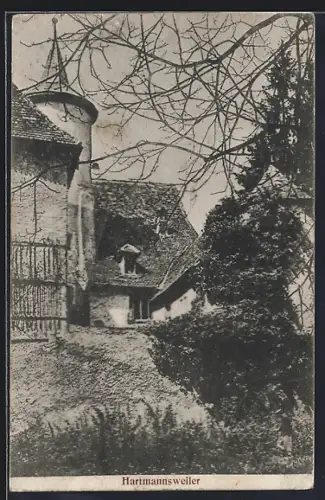 AK Hartmannsweiler, Vue sur une maison ancienne entourée de végétation