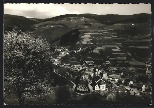 AK Fréland /Haut-Rhin, Vue générale