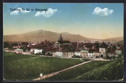 AK Turckheim /Haut-Rhin, Vue sur le village avec vignobles et montagnes en arrière-plan