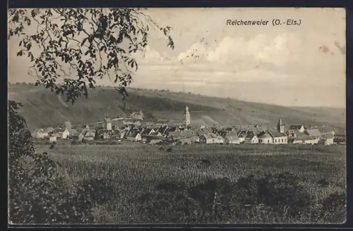 AK Reichenweier, Vue du village et des vignobles environnants