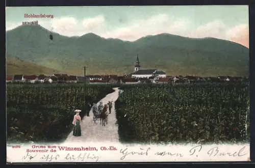 AK Winzenheim, Vue du village avec église et vignobles, château de Hohlandsbourg en arrière-plan
