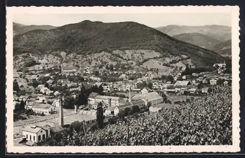 AK Buhl /Haut-Rhin, Vue panoramique