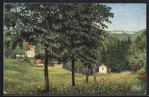 AK Trois-Épis, Vue pittoresque sur la campagne et les collines boisées des Vosges
