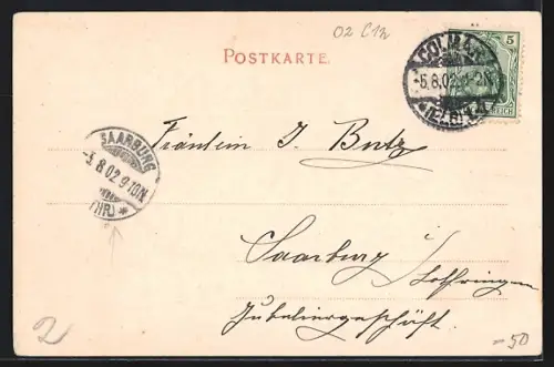 AK Colmar, Vue générale sur la ville et ses bâtiments historiques