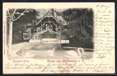 AK Mülhausen, Jardin zoologique avec pavillon et cygnes