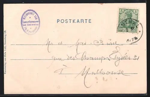 AK Gebweiler, Vue du Lac de Lauchen entouré de forêts et collines