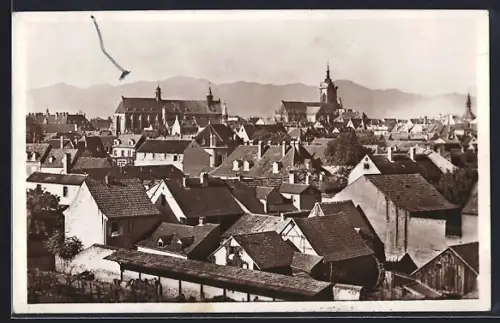 AK Colmar, Vue générale