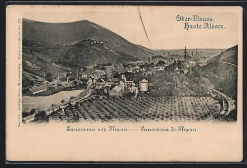 AK Thann, Panorama de Thann