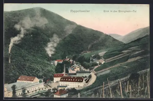 AK Rappoltsweiler, Blick in das Strengbach-Tal