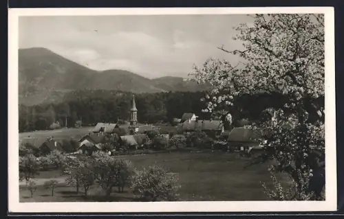 AK Aubure, Vue du village avec montagnes et arbres en fleurs