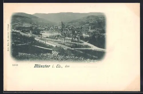 AK Münster /Els., Vue panoramique de la ville et des collines environnantes