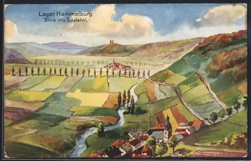 Künstler-AK Hammelburg, Blick ins Saaletal