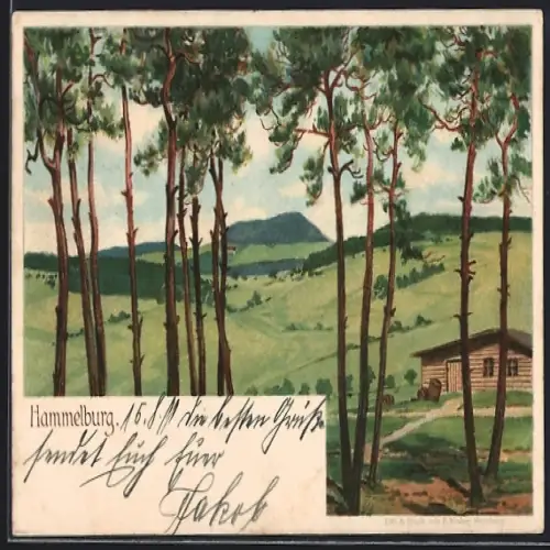 Lithographie Hammelburg, Ortsansicht