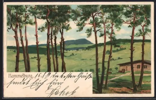 Lithographie Hammelburg, Ortsansicht