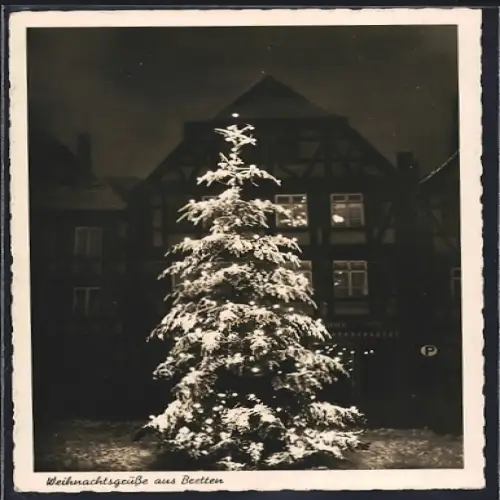 AK Bretten, Verschneiter Weihnachtsbaum bei Nacht