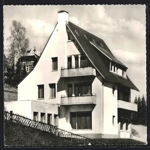 AK St. Märgen, Gasthaus und Weinstube Kranz