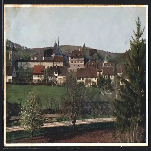 AK Bebenhausen, Ortsansicht von Süden