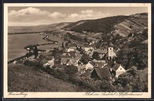 AK Hammelburg, Blick ins Saaletal mit Pfaffenhausen