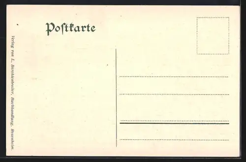 AK Rosenheim, Ortsansicht mit Alpenpanorama