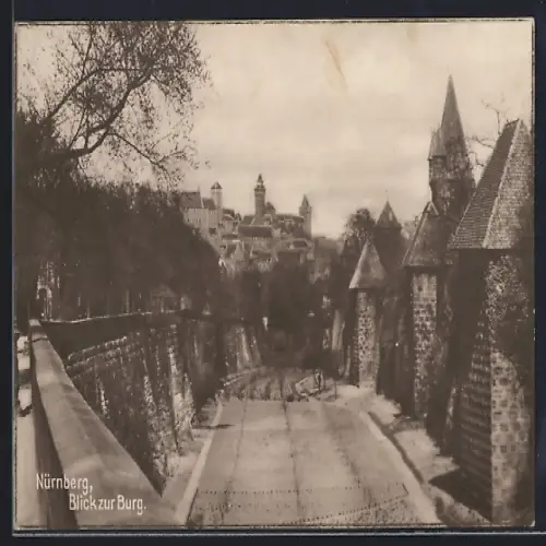 AK Nürnberg, Blick zur Burg