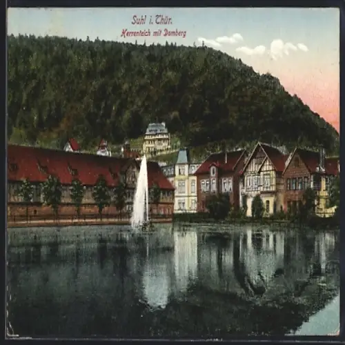 AK Suhl i. Thür., Herrenteich mit Domberg