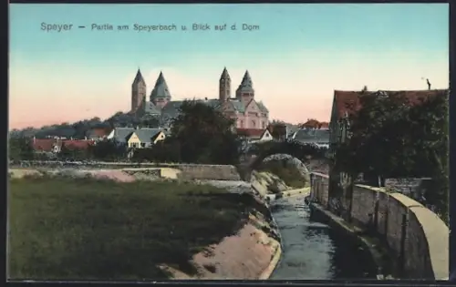 AK Speyer, Partie am Speyerbach, Blick auf Dom