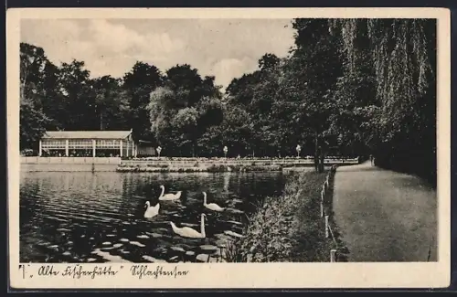 AK Berlin, Alte Fischerhütte am Schlachtensee