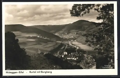 AK Nideggen /Eifel, Rurtal mit Burgberg
