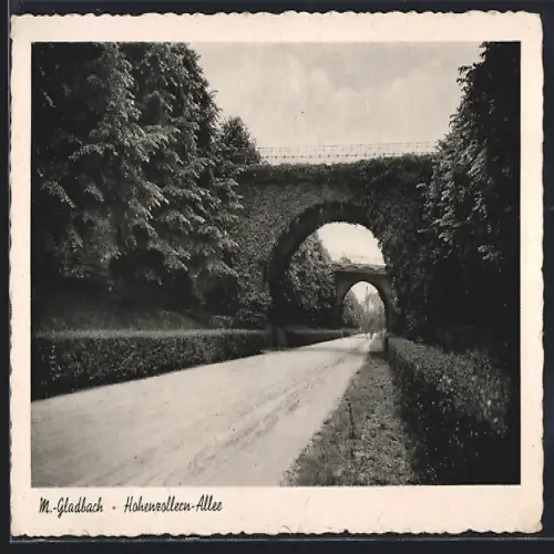 AK M.-Gladbach, Hohenzollern-Allee