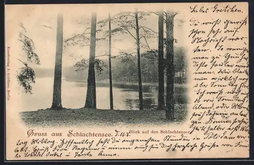 AK Berlin-Schlachtensee, Blick auf den Schlachtensee