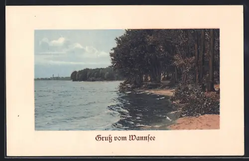 AK Berlin-Wannsee, Uferpartie mit Wald
