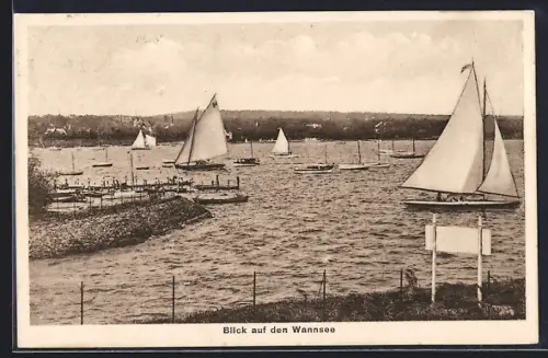 AK Berlin-Wannsee, Segelboote, Blick auf den Wannsee