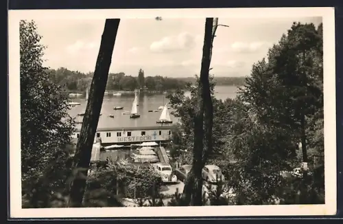 AK Berlin-Wannsee, Restaurant Westfalia, Inh. Reinhardt Silber