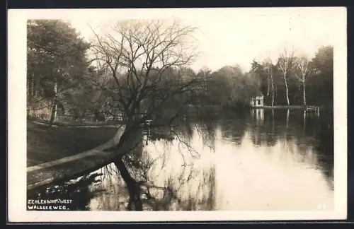AK Zehlendorf, Waldseeweg mit Blick auf den See