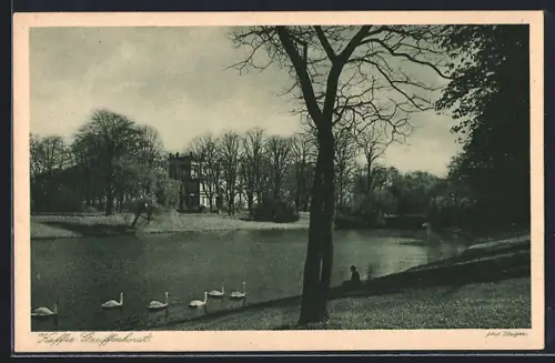 AK Krefeld-Linn, Café Greiffenhorst und Teich