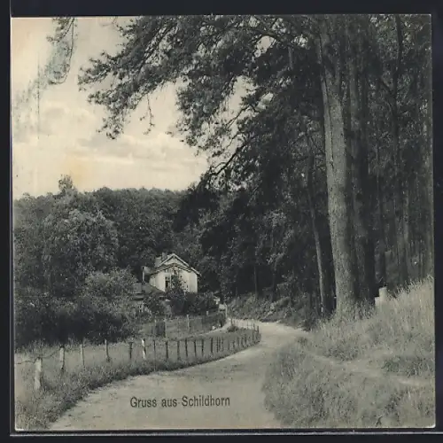 AK Berlin-Schildhorn, Blick zum Restaurant Hans Ritzhaupt