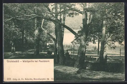 AK Berlin-Grunewald, Waldpartie bei Paulsborn mit Spaziergängern