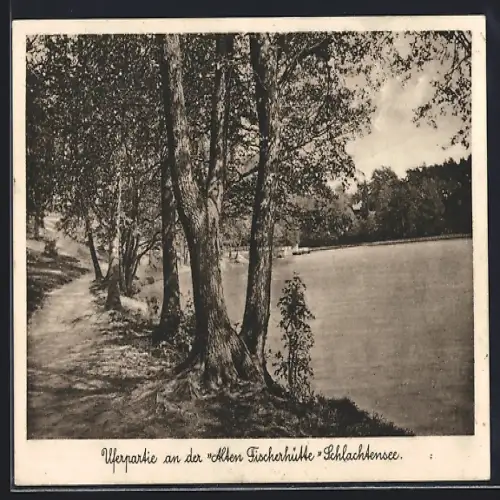 AK Berlin-Schlachtensee, Uferpartie an der alten Fischerhütte
