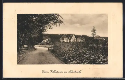 AK Essen / Ruhr, Villenpartie am Stadtwald